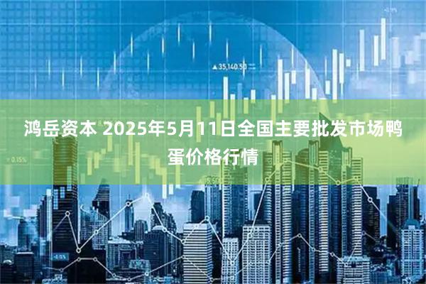 鸿岳资本 2025年5月11日全国主要批发市场鸭蛋价格行情