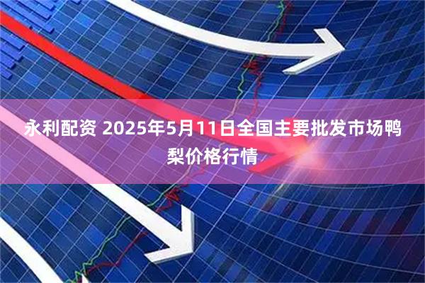 永利配资 2025年5月11日全国主要批发市场鸭梨价格行情