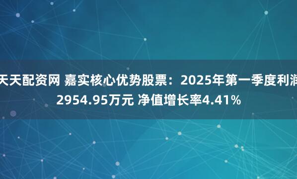天天配资网 嘉实核心优势股票：2025年第一季度利润2954.95万元 净值增长率4.41%