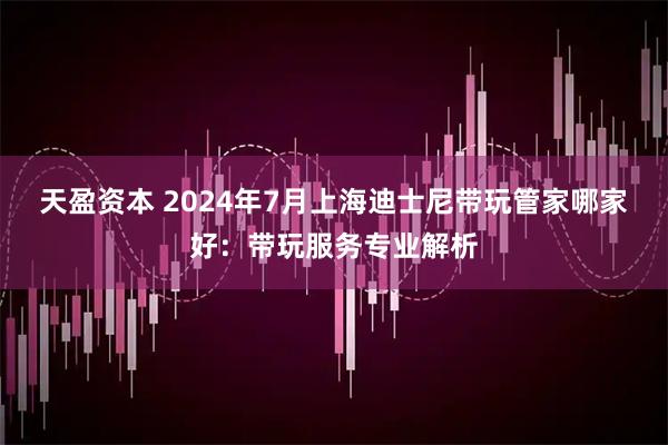 天盈资本 2024年7月上海迪士尼带玩管家哪家好：带玩服务专业解析